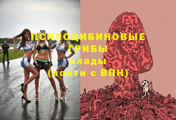прущие крисы Пересвет