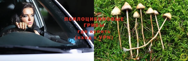 прущая мука Аркадак