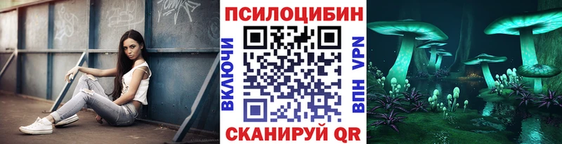 shop клад  Багратионовск  Галлюциногенные грибы Psilocybe 
